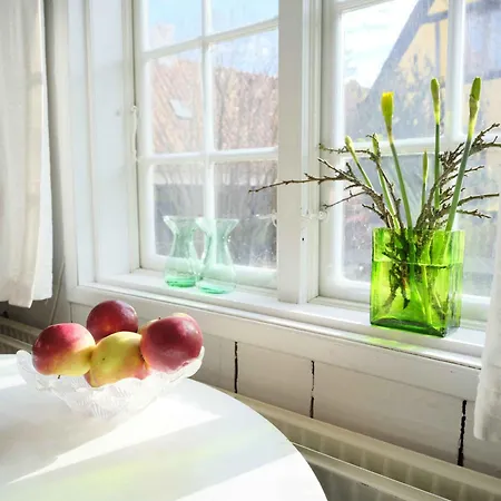 Vila Historic Townhouse In The Heart Of